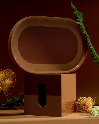 RB Brown Set (Vanity Tray&Tissue Case)