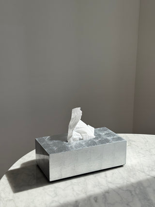 AL Brushed Silver Tissue Case